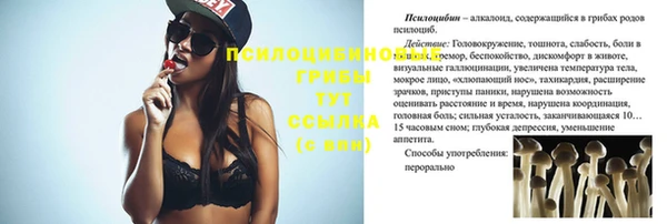 винт Балахна