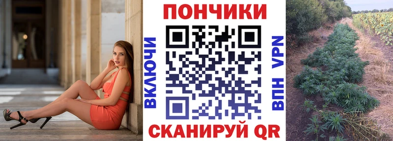 дарнет шоп Пугачёв Шишки марихуана семена